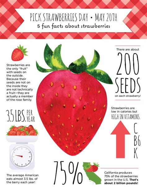 strawberries fact sheet.